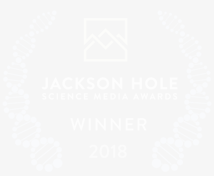 Pitchfork Top 100 Tracks 2011, transparent png