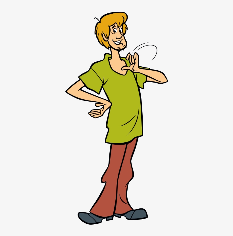 Cartoon Person Png Shaggy From Scooby Doo Png 600x748 PNG Download