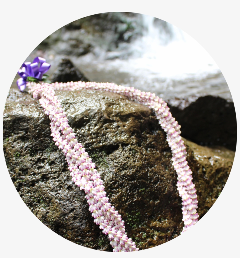 Bead, transparent png