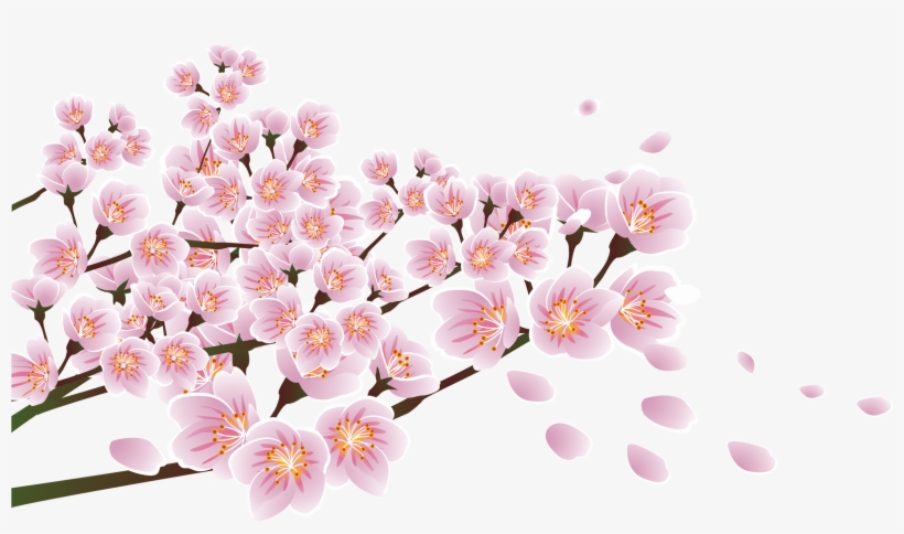 Download Flower Floral Design Blossom - Ppt, transparent png