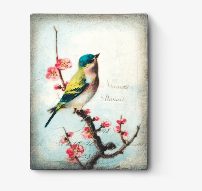 Hübscher Vintager Vogel Keramikfliese, transparent png