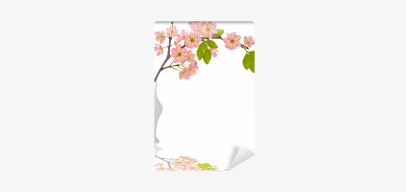 Cherry Blossom Branch In Vase With Reflection Wall - Rosa Canina, transparent png