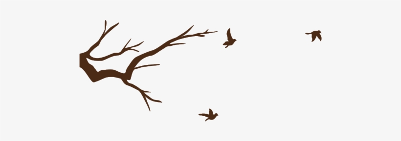 Portable Network Graphics, transparent png