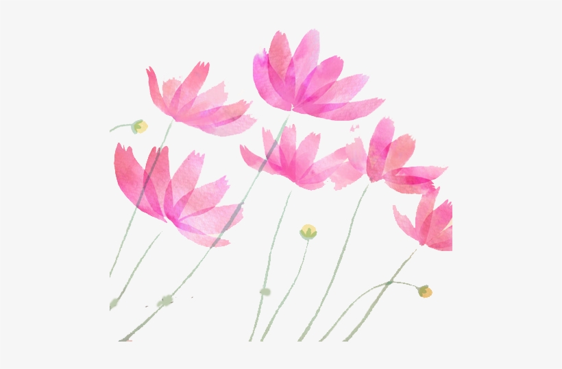 Adobe Illustrator Watercolor Painting Pastel Drawing - Lotus Illustrator, transparent png