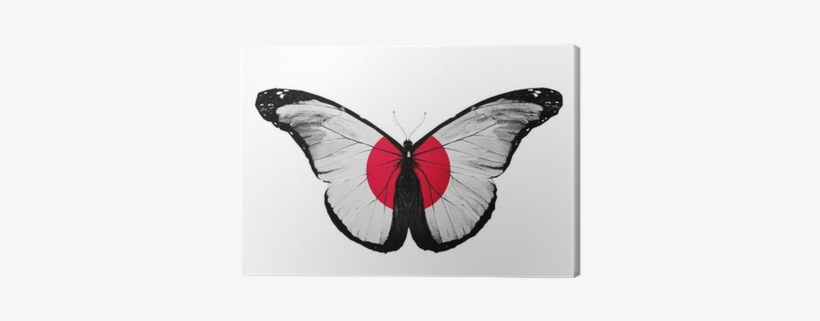 Japanese Flag Butterfly, Isolated On White Background - South Korea Flag Butterfly, Isolated On Mug, transparent png