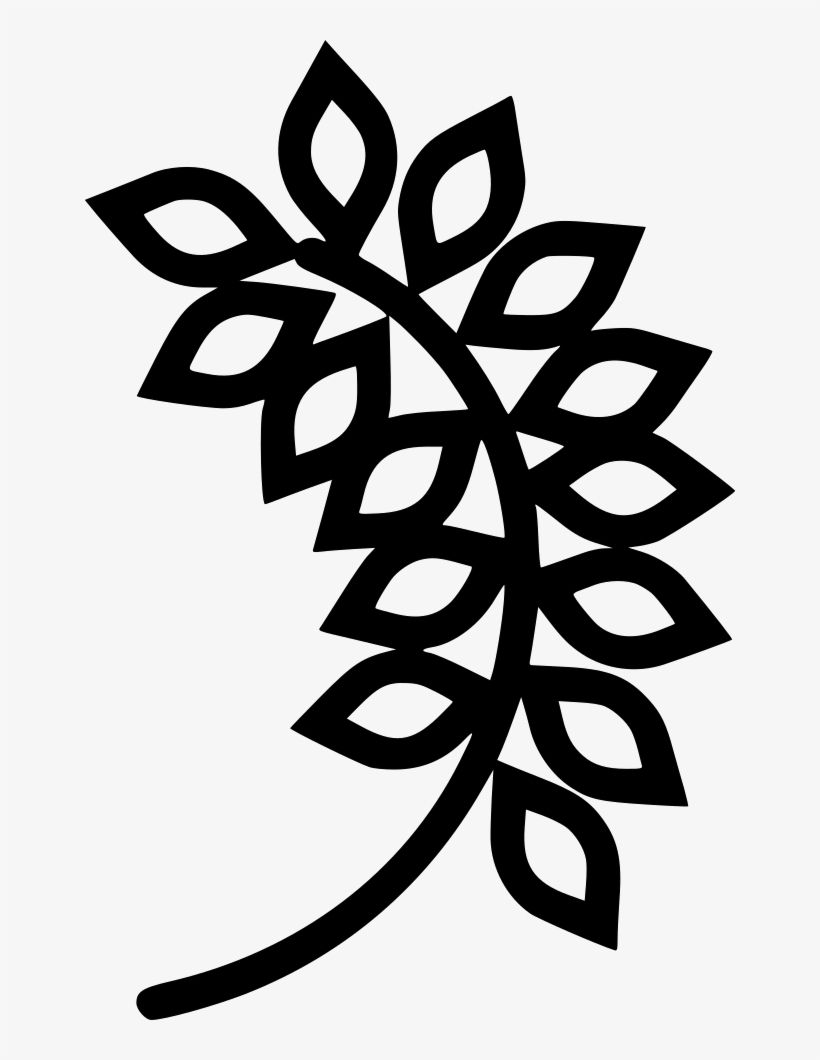 Oatmeal Comments - Oat, transparent png