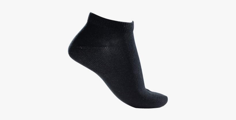 Sci Hp318 Ankle Sock - Thorlo Inc., transparent png