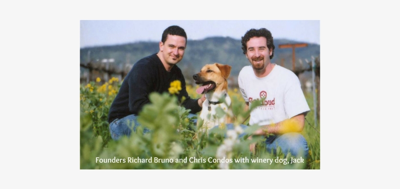 Chris Condos And Richard Bruno Began Vinum After Becoming - Vinum Cellars Inc, transparent png