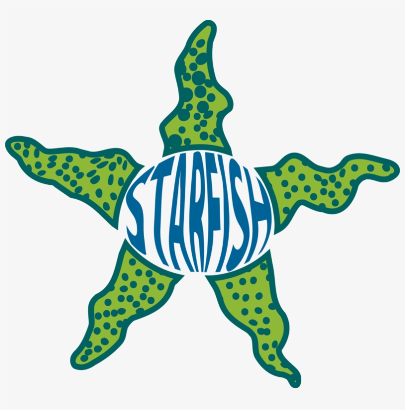 Starfish Marine Invertebrates Drawing Echinoderm Sea - Starfish, transparent png