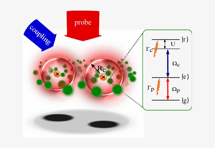Scheme For Imaging Individual Impurity Atoms Within - Atom, transparent png