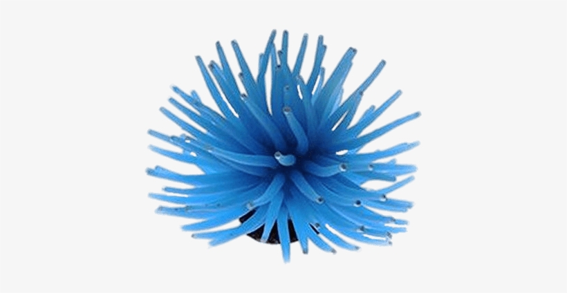 Blue Sea Anemone - Genenic 6 Piece Silicone Aquarium Artificial Sea Anemone, transparent png