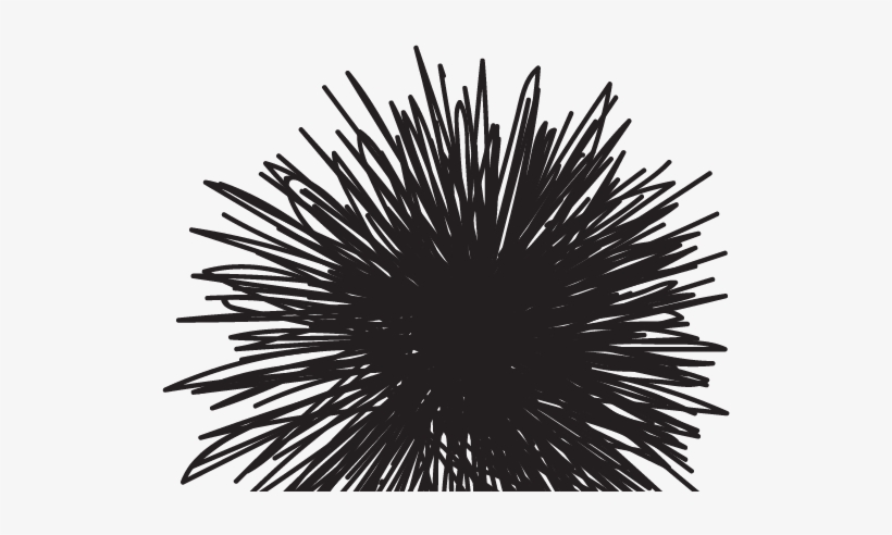 Blog ` - Blog, transparent png