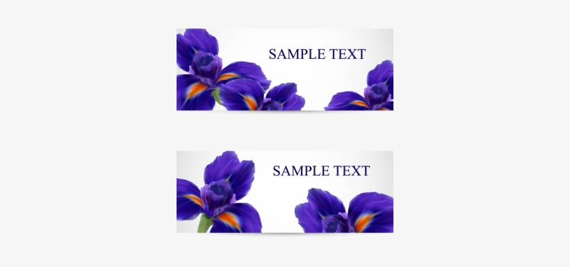 Postcards With Realistic Iris Flowers, Iris, Flower, - Flower, transparent png