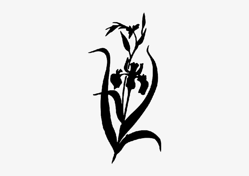Mb Image/png - Iris Flower Iris Clipart Black And White, transparent png