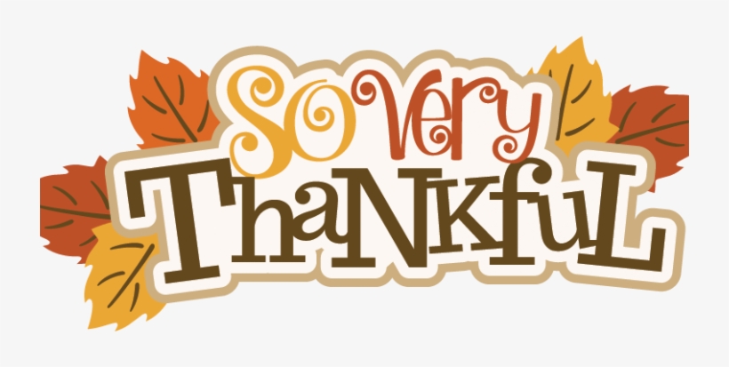 Thank You, My Dear Mums - Thanksgiving Transparent, transparent png