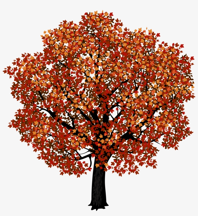 Red Maple Tree Png Clipart Picture - Red Maple Tree Clip Art, transparent png