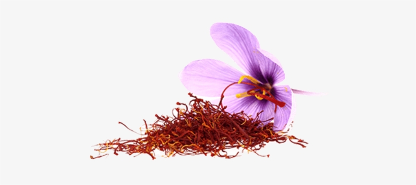 Saffron Flower Png - Vaadi Herbals Shower Gel, Luxurious Saffron, 300 Ml, transparent png