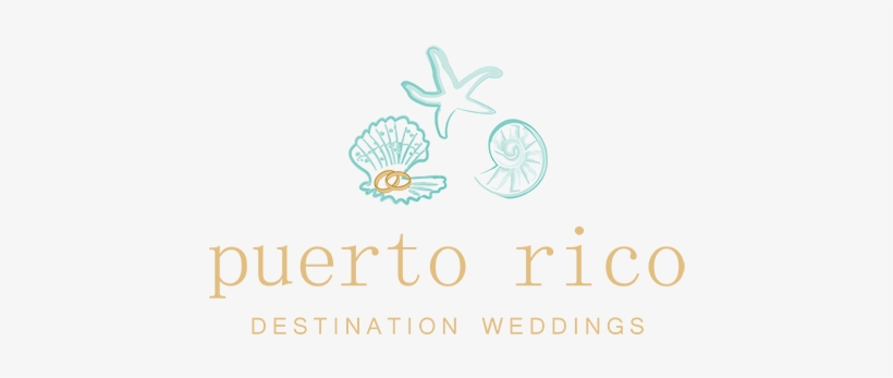 Logo, transparent png