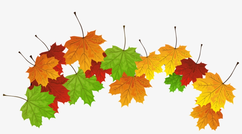 Fall Leaves Png Clipart Image - Fall Leaves Clipart, transparent png