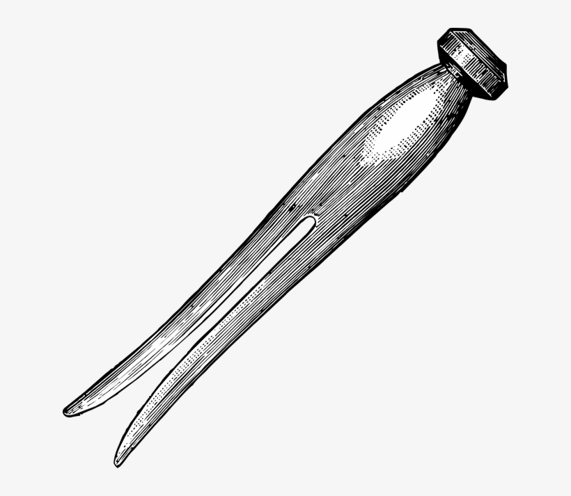 Clothing, transparent png