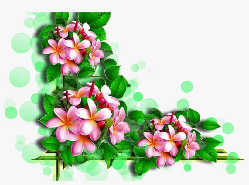 Flower Corners By Ella 5png Rc Lens And Album - Картинки, transparent png
