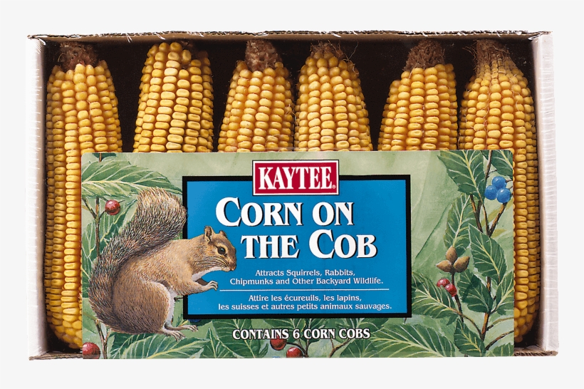 Corn On The Cob, 6 Pack - Corn Kernels, transparent png