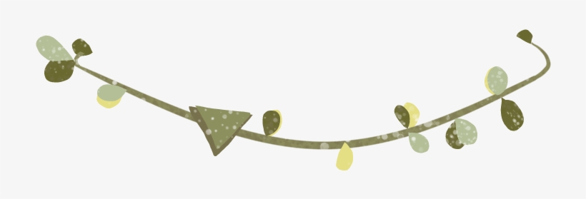 Twig, transparent png