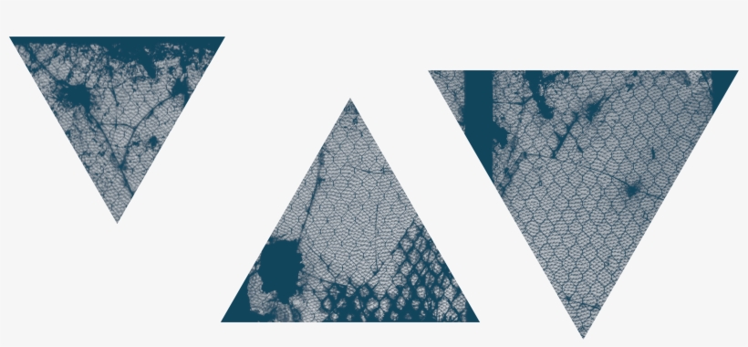 Before Him He Saw An American Landscape Dotted With - Architecture, transparent png