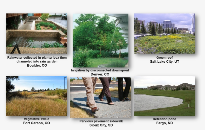 Green Infrastructure In Cities Across The United States - Tree ...