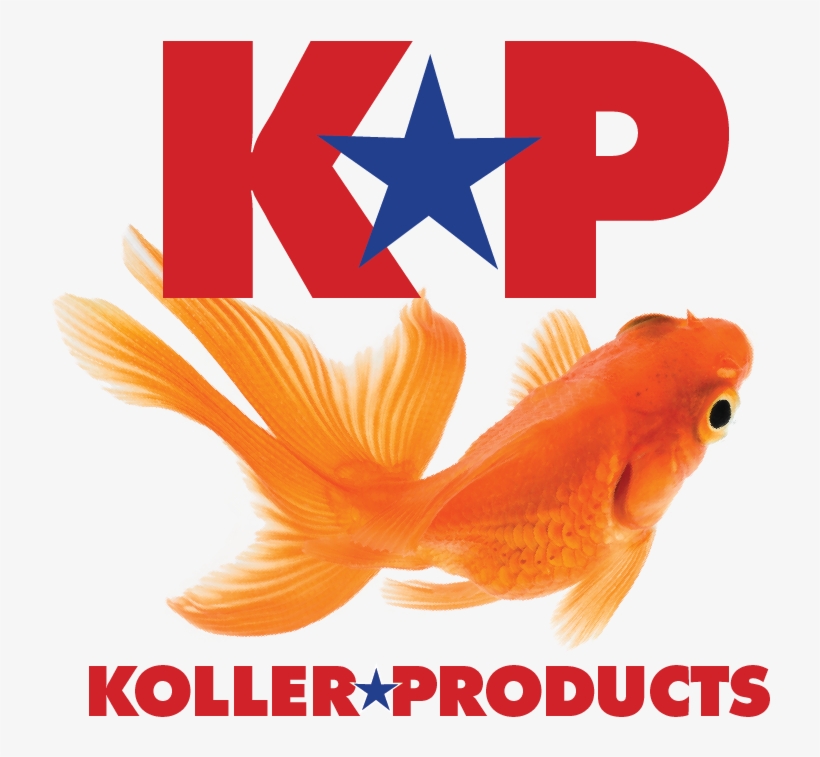 Features - Bony-fish, transparent png