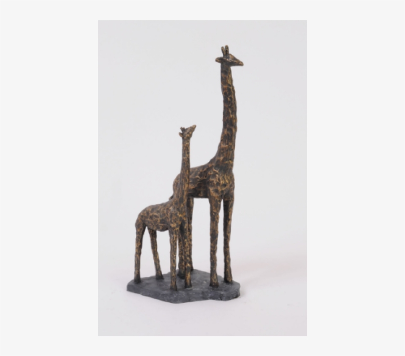 Giraffe, transparent png