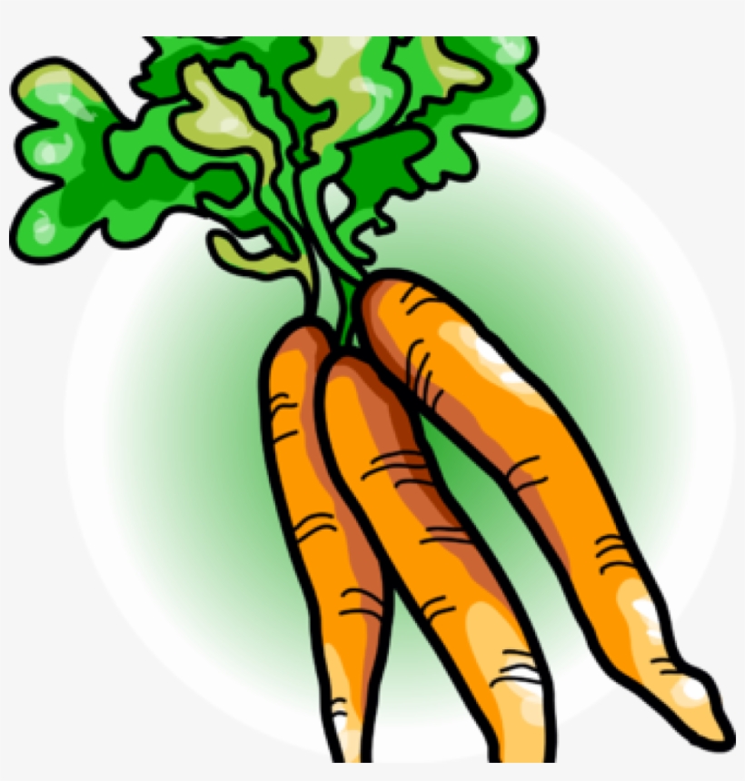Carrot Clipart Free Carrot Clipart Image Carrots Food - Clip Art Vegetables, transparent png