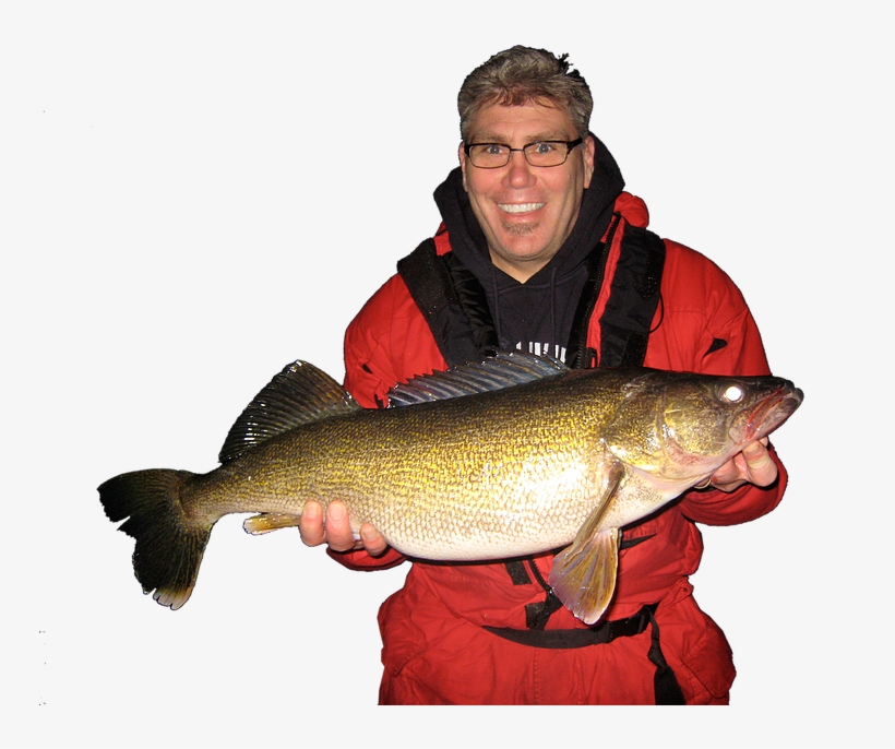 Big Walleyes Are More Active At Night - Carp, transparent png