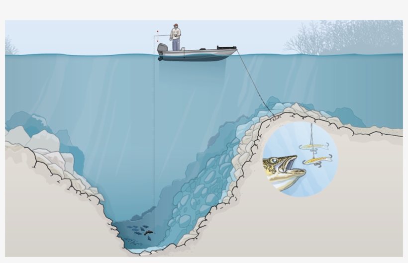 Illustration By Mike Sudal - Walleyes Early Ice Maps, transparent png