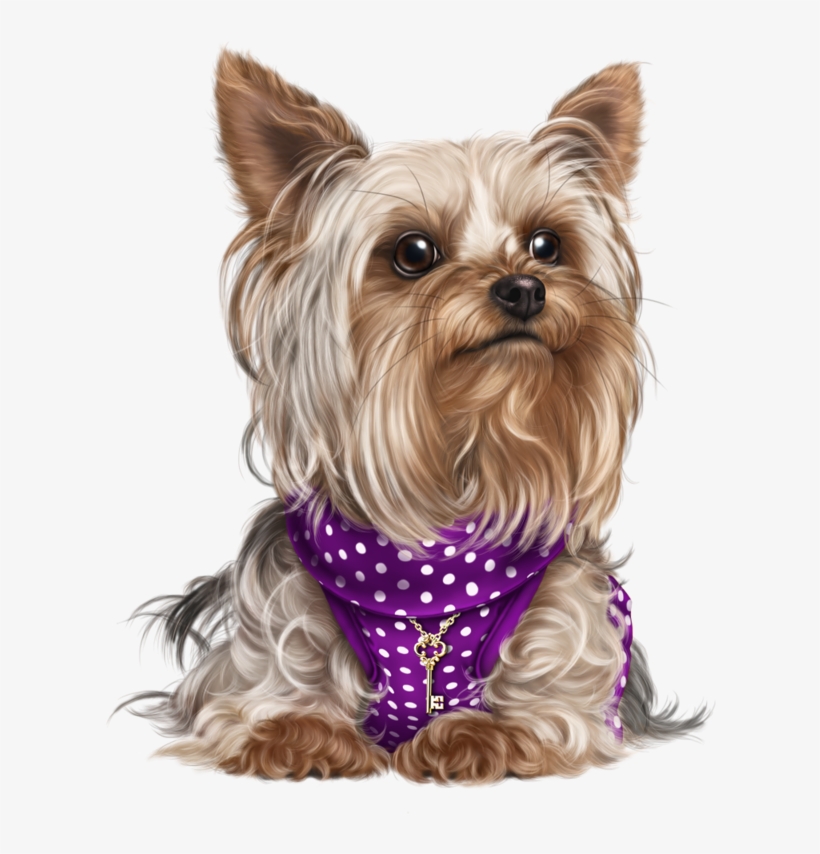 Yorky, Puppy Images, Cute Puppies, Cute Dogs, Dog Cat, - Figurinha Cachorro Png, transparent png