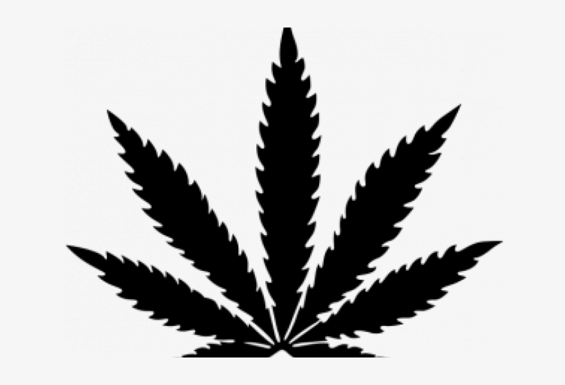 Cannabis Clipart Black And White - Cannabis Leaf, transparent png