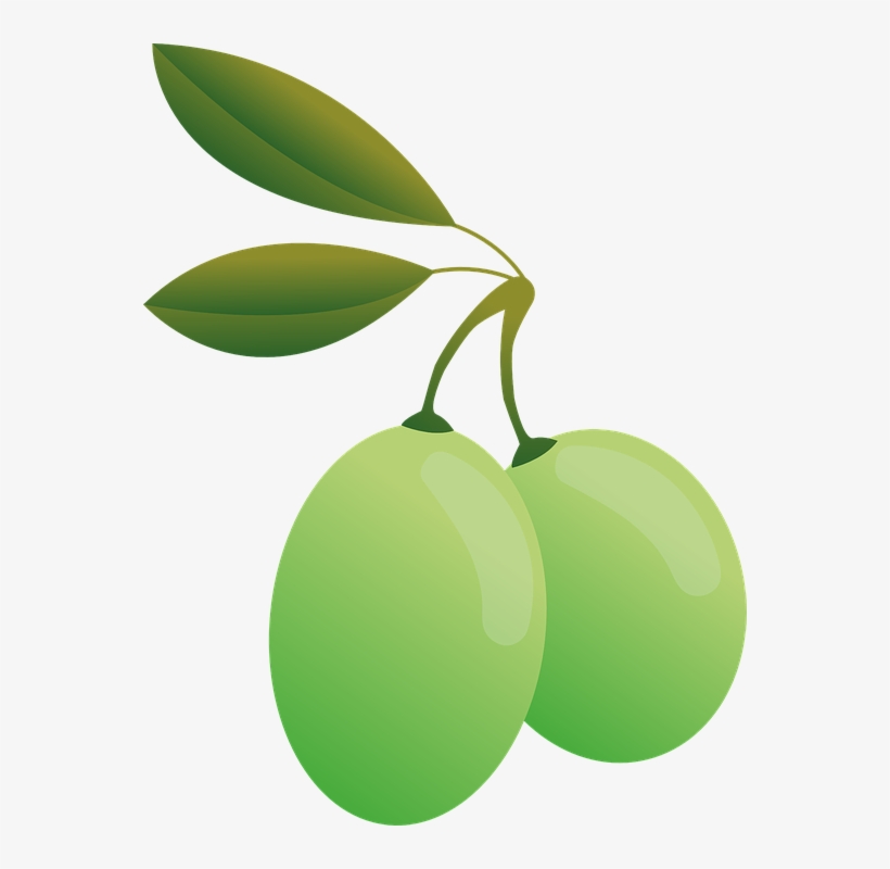 Olives, Green, Oil, Olive Plants, Food, Green Olives - Olive, transparent png
