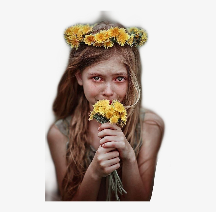 Popular - Belyaeva 2012, transparent png