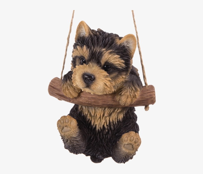 Adorable Yorkie Pup Hanging On A Branch Swing Playful - Yorkshire Terrier, transparent png