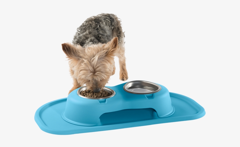 Made In America - Yorkshire Terrier, transparent png