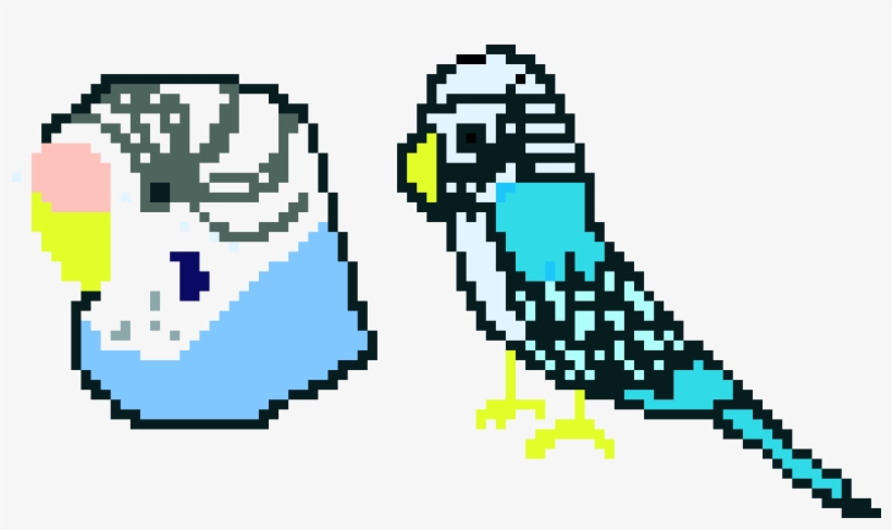 Parakeets, transparent png