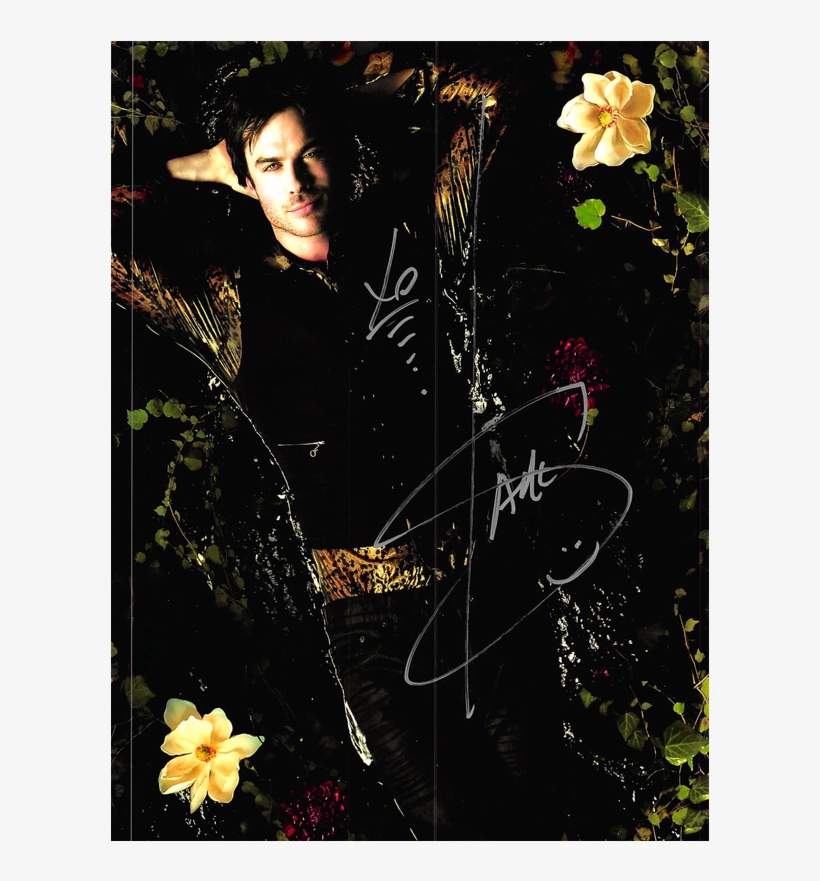 "the Vampire Diaries" (2009), transparent png