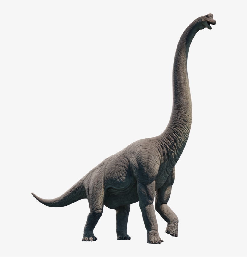 3d - Tyrannosaurus, transparent png
