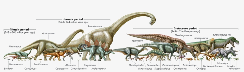Mesozoikos Century - Dinosaur Evolution, transparent png