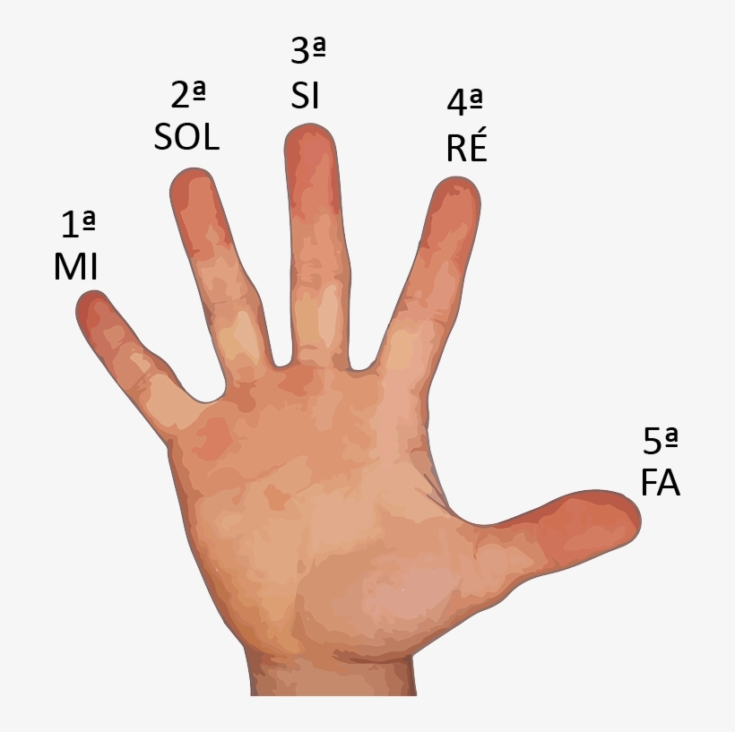 Já Decorou - Accupressure Point For Toothache, transparent png