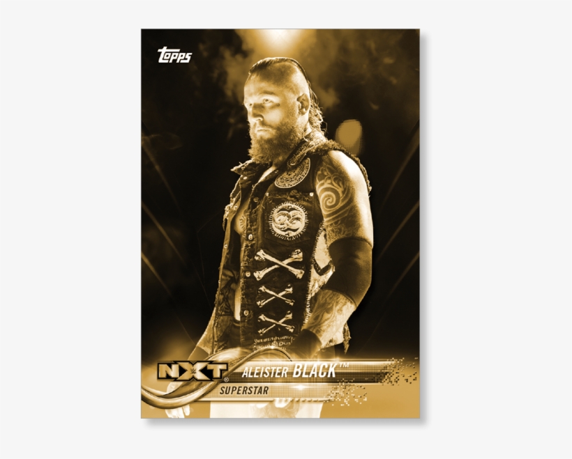 2018 Topps Wwe Aleister Black - Poster, transparent png