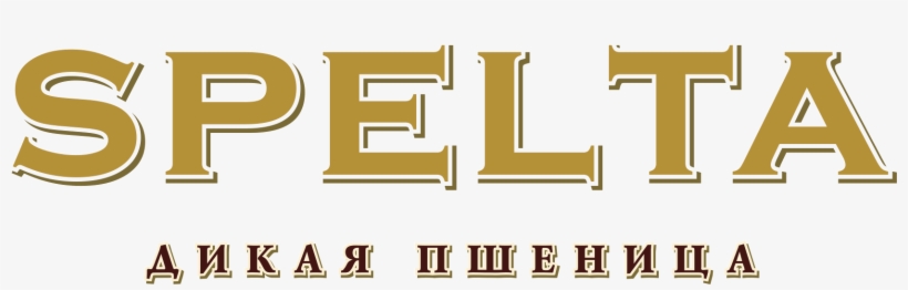 Carousel Image Carousel Image - Tan, transparent png