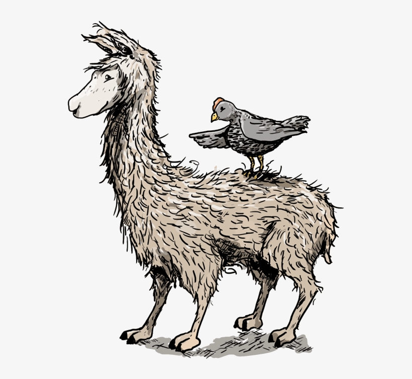 Laamakana - Llama, transparent png
