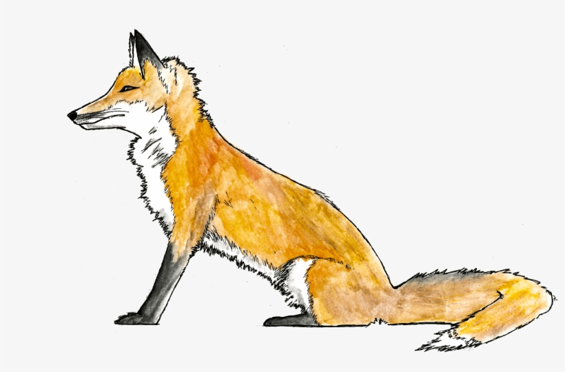 Call To Action - Red Fox, transparent png