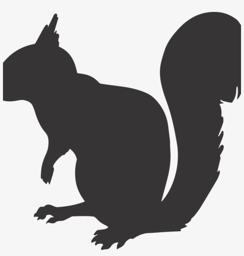 Squirrel Silhouette Math Clipart - Squirrel Silhouette Png, transparent png